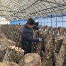 조은농장2 이미지