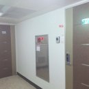 차성남로 이미지