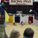 The fair w 이미지