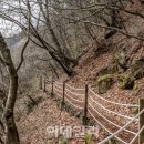 산소구이 이미지