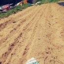 쑤니네 농장 이미지