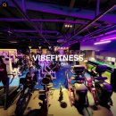 바이브 피트니스 이미지