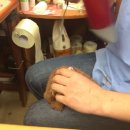 화랑동물병원 이미지