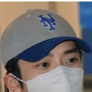 Safely Home! 이미지