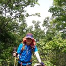 신풍공원 이미지