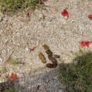 서울하은동물병원 이미지