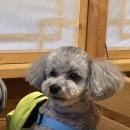 구억카 네이버블로그