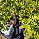 달자농장 이미지