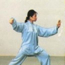 태극권 이미지