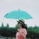 억만목장 네이버블로그