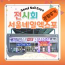 영구 딸기 | [전시] SINAIL 2024 서울네일엑스포 / 관람 후기, 다양한 네일 아이템을 만나보아요!