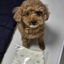 오현농장 이미지