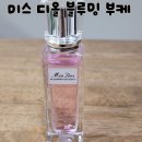 롤러프레시 | 미스 디올 블루밍 부케 롤러펄 20ml, 파우치 속 최애 향수 솔직 후기 뚜왈렛