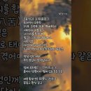 여로역여전(如露亦如電)"이슬과 같고 또한 번갯불과 같다.”는 뜻이다[금강경의 가르침] 이미지