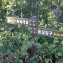 화진포생태박물관 Daum카페