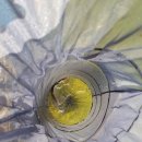 비들지낚시터 이미지