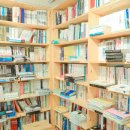 (주)제주모아투어 | 이번에도 책에 10만원 넘게 쓴 사람의 제주 책방 추천 후기 5 📒