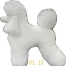 댕댕미용 이미지