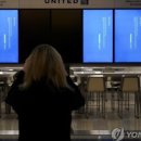 동동스크린 네이버블로그