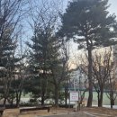 대구상원고등학교 이미지