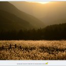 영남알프스 복합웰컴센터 이미지