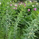 황정농장 이미지