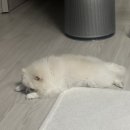 나만 잘되게 해주세요 just me