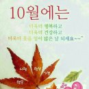 사이꼬 - 고양시 덕양구 | 사이꼬