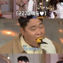 나의 댕댕이 이미지