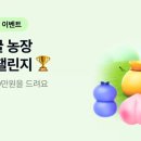 현금농장 한국정경신문