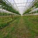 우가농장 이미지