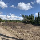 산방산탑부동산공인중개사사무소 이미지