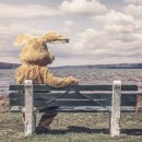 봉봉이네 이미지