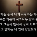 22. 아가(Song of Songs) 서연미 아나운서 이미지