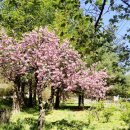 난지천3(축구장) 이미지