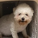 지에스25창동평화점 이미지