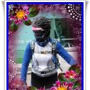 갈마치로 이미지