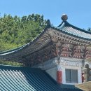 몽키2모터스 이미지