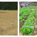 원당농장 이미지