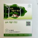 숲속개울가 이미지