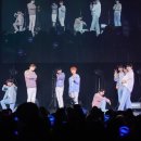 윈터블라썸 이미지