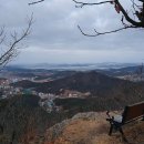 등너머농장 이미지