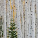 자연풍경2 이미지