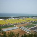 맹방관광지 이미지