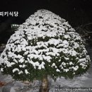 태함곱창