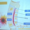 로즈마리병원 이미지
