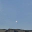 마왕족발 공도점 이미지