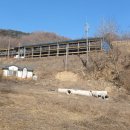 힘찬염소농장 이미지