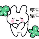 인형의 거리(토끼) 이미지