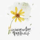 안온 Daum카페